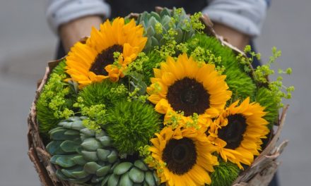 Os 5 melhores arranjos de flores para o Dia Internacional da Mulher