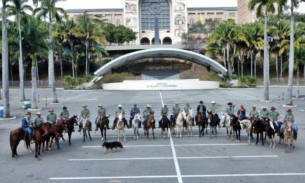 Cachorro some dos donos em MG e vai parar junto com romaria de cavaleiros em Aparecida/SP