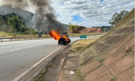 Carro pega fogo às margens da BR-381, em Oliveira