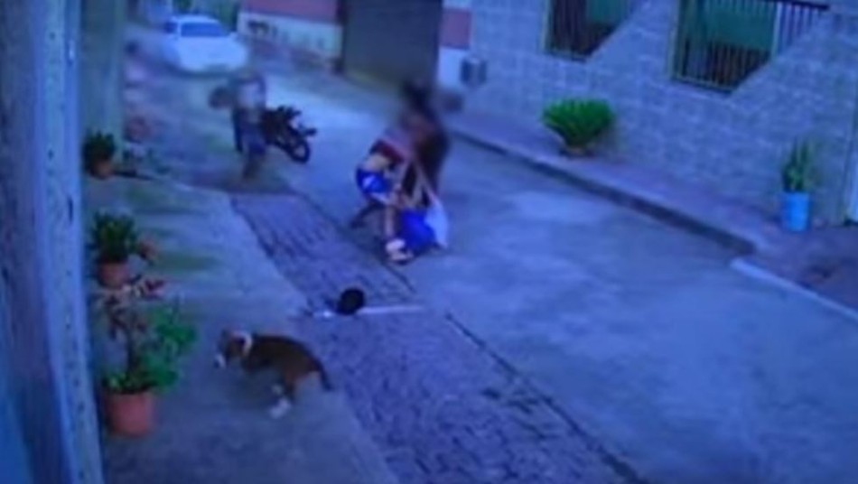 Dono de cachorro troca socos com suspeito de agredir animal em Itapecerica
