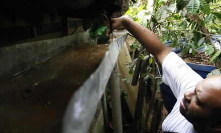 Risco de dengue, chikungunya e zika ronda metade dos municípios de Minas