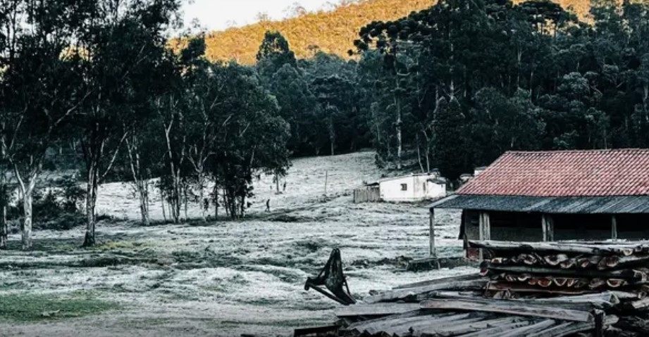 Geada atinge cidade do Sul de Minas e temperatura chega a menos 1,6ºC