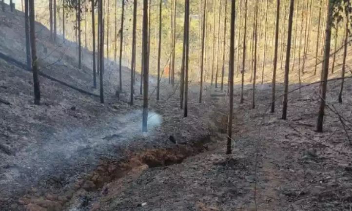 Brigadista morre em incêndio florestal em Minas