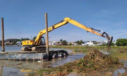 Iniciados processos de limpeza e remoção de taboas na Lagoa do Fundão, em Formiga