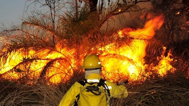 Governo de Minas intensifica ações para coibir incêndios criminosos
