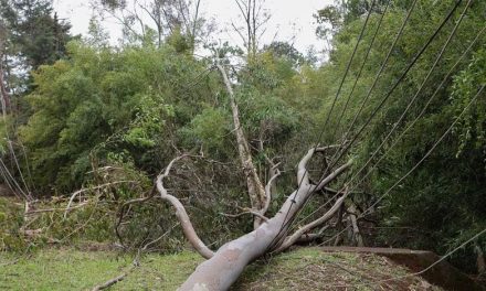 Inmet emite alerta de vendaval para 54 cidades mineiras até este domingo; veja lista