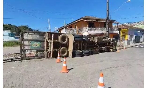 Caminhão carregado com cerca de 40 bezerros perde freio e tomba na BR-460, em MG