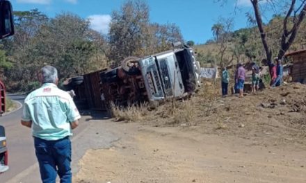 Carreta carregada com gado tomba e mais de 30 animais morrem na MG-164, em Martinho Campos