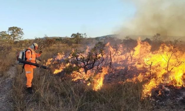 Incêndio queima vegetação na região dos cânions do Lago de Furnas, em São João Batista do Glória