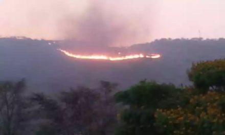 Parque Serra Verde: chuva evita novo incêndio de grandes proporções