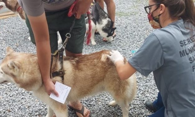 Vacinação antirrábica na área urbana de Formiga ocorrerá no dia 10