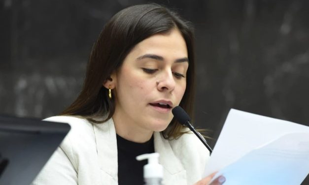 Lohanna requer Audiência contra privatização da Cemig e Copasa