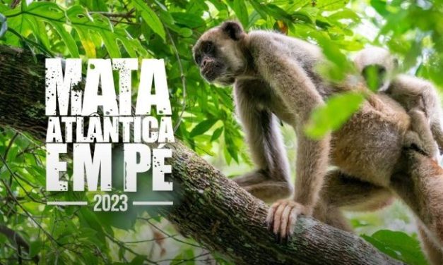Ministério Público de Minas Gerais participa da 6ª edição da Operação Mata Atlântica em Pé