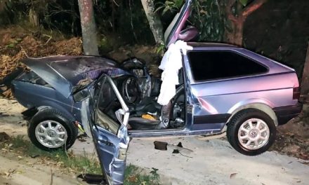 Duas pessoas ficaram feridas após carro bater em árvore no Sul de Minas