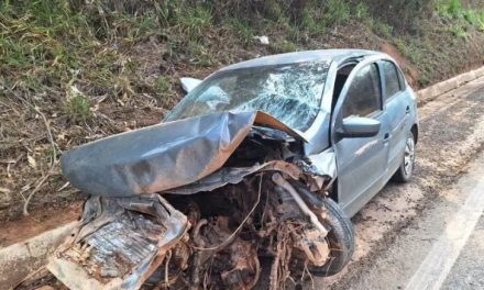 Mulher tenta desviar de cachorro na pista e sofre acidente na BR-354 entre Bambuí e Iguatama