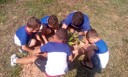 Alunos da Escola Franklin de Carvalho plantam cerca de 40 mudas de árvores no Parque Jequitibá