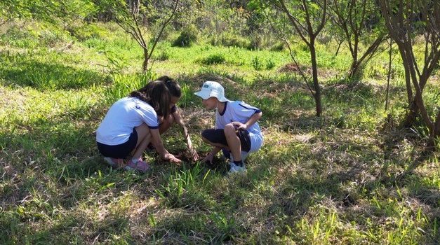 Projeto Bosque do Amanhã, do Governo de Minas, avança na mobilização por plantio de 6 mil mudas de árvores
