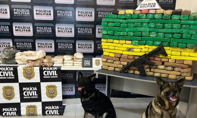 Cão farejador acha 200kg de maconha escondidos em MG; sete suspeitos são detidos
