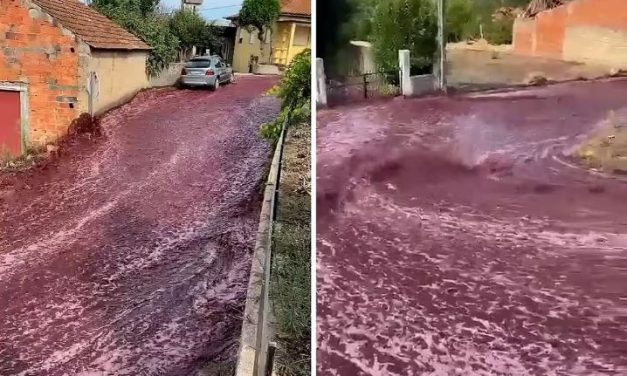 ‘Enchente’ de vinho inunda ruas de Portugal após depósito se romper