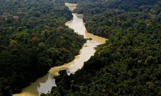 Área usada pelo garimpo ilegal aumenta em 35 mil hectares, diz estudo