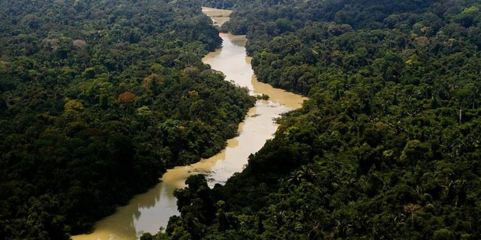 Área usada pelo garimpo ilegal aumenta em 35 mil hectares, diz estudo