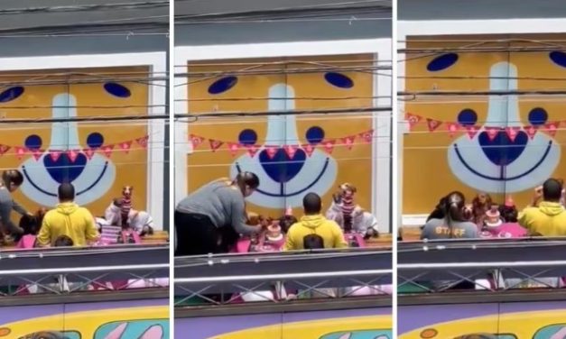 Imagens mostrando maus-tratos a animais em creche e hotel canino viralizam e revoltam internautas