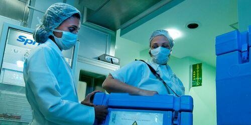 Número de doação de órgãos alcança recorde histórico no primeiro semestre de 2023