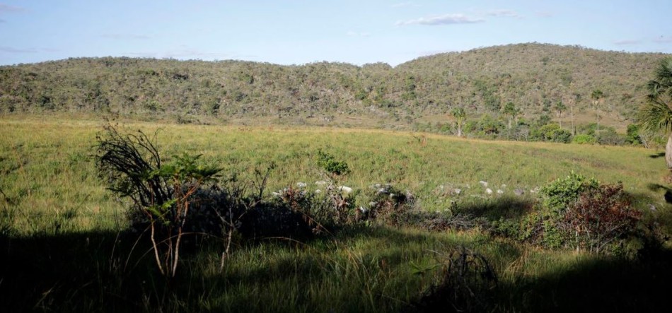 Campeãs em desmatamento, terras privadas têm 62% do Cerrado nativo