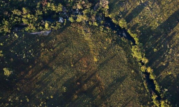 Desmatamento do Cerrado ameaça segurança hídrica de todo o Brasil
