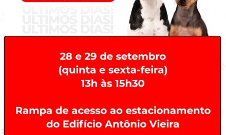 Vacinação antirrábica será realizada nos dias 28 e 29 de setembro, na área urbana