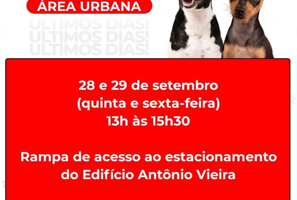 Vacinação antirrábica será realizada nos dias 28 e 29 de setembro, na área urbana