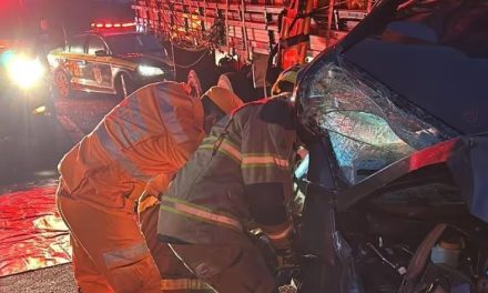 Acidente com morte envolvendo ônibus, caminhão e carro fecha a BR-381