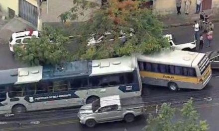 Ônibus escolar bate em árvore e deixa crianças feridas