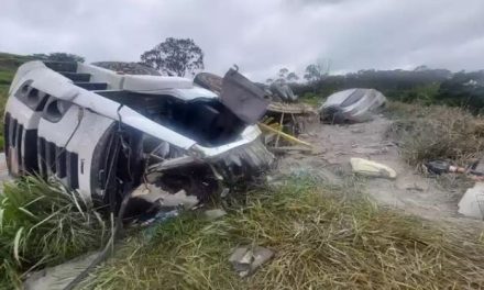 Caminhão perde controle, tomba e mata casal de idosos na MGC-369