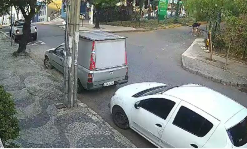Guarda municipal é suspeito de atirar em pitbull após ser atacado em Belo Horizonte