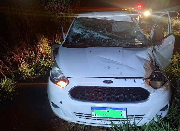 Motorista fica ferido após carro atropelar capivara e capotar na MG-050