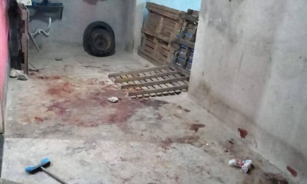 Bebê de 1 ano morre após ser atacada por dois pit bulls em MG
