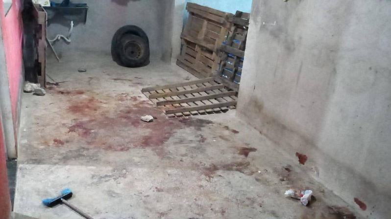 Bebê de 1 ano morre após ser atacada por dois pit bulls em MG