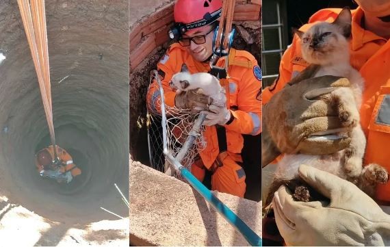 Gatinha é resgatada após cair de poço de 12 metros de profundidade em Poços de Caldas