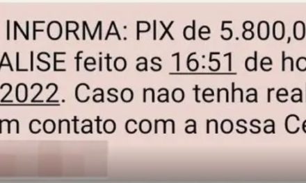 Confira dicas para não cair no ‘Golpe do 0800’, que já faz vítimas em Minas