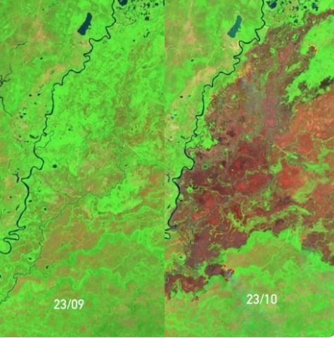 Incêndios no Pantanal de Mato Grosso devastam 20,8% da área do Parque Estadual em três semanas