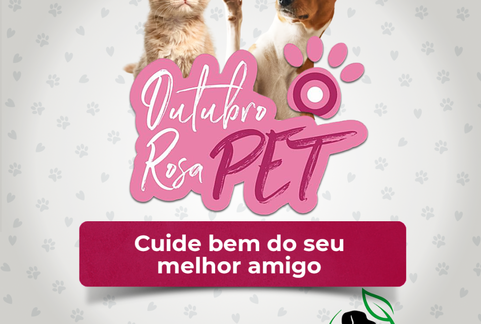 O “Outubro Rosa” é o mês de conscientização e prevenção aos tumores de mama em cadelas e gatas, você sabia?