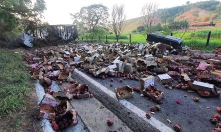 Irmãos sofrem acidente com caminhão e um deles morre carbonizado em Minas