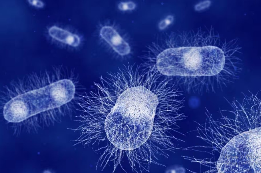 Superbactérias avançam pelo mundo e OMS acende alerta de risco à saúde global