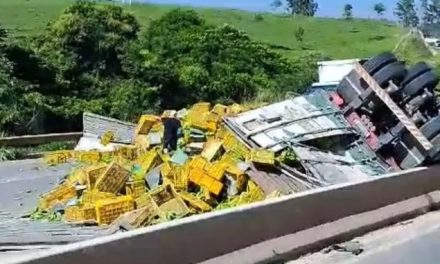 Motorista fica preso às ferragens após caminhão carregado com bananas tombar na Fernão Dias