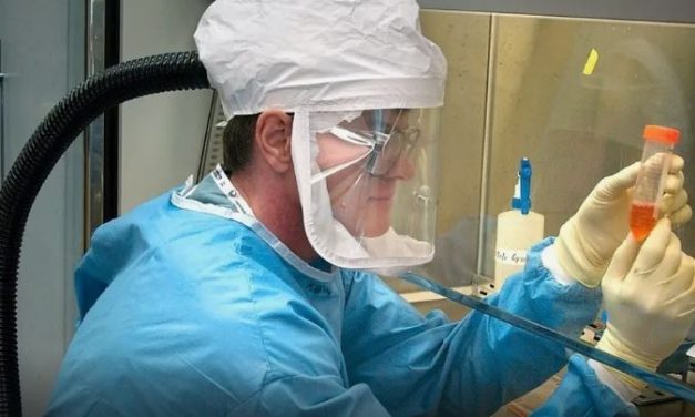 Reino Unido confirma primeiro caso de H1N2, gripe semelhante ao vírus do porco
