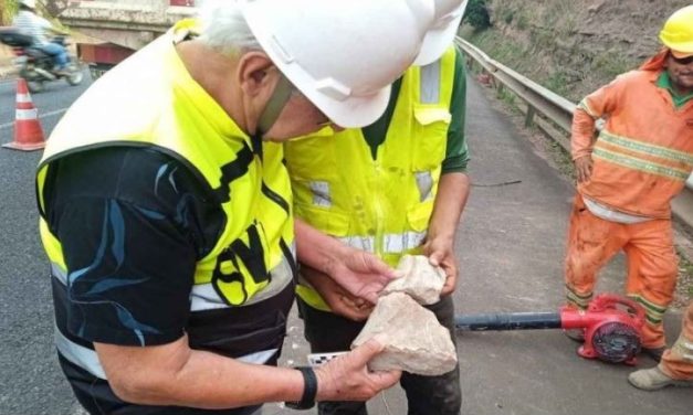 Fóssil de 65 milhões de anos é encontrado na BR-050
