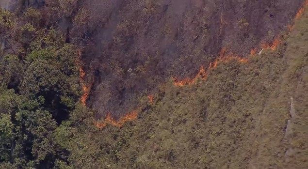 Em meio a calor e falta de chuva, incêndios florestais aumentam 117% em Minas