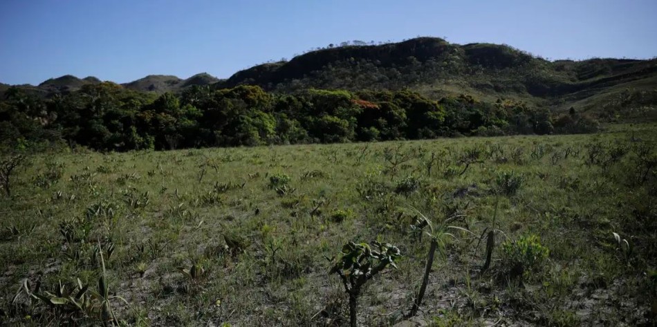 Desmatamento do Cerrado cresce 3% em um ano; área atinge 11 mil km²