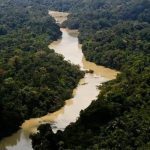 Junho é o “Mês Verde”: campanha reforça conscientização ambiental em todo país